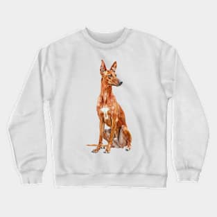 Cirneco DellEtna Crewneck Sweatshirt